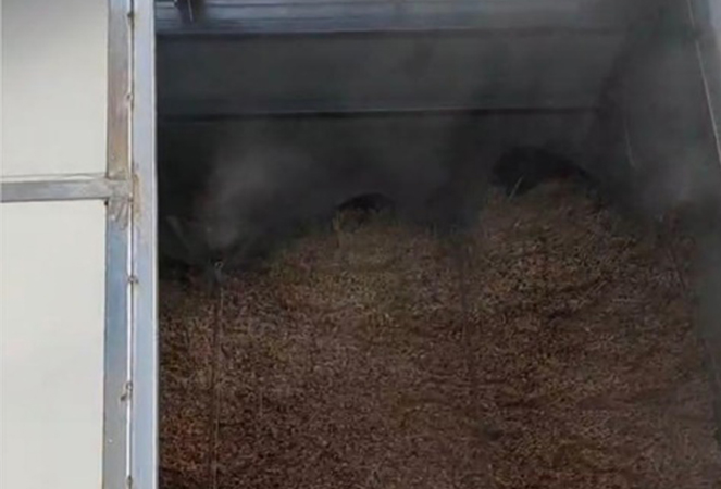 Ningguo Kuntai Bambu ve Ahşap Co, Ltd.