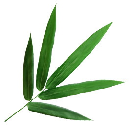 Ningguo Kuntai Bambu ve Ahşap Co, Ltd.